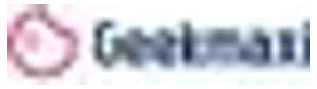 Geekmaxi logo