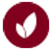 Christow logo