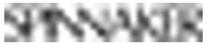 Spinnaker logo