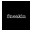 Sneakin logo