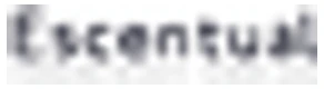 Escentual logo