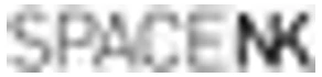 Space Nk logo