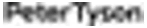 Peter Tyson logo