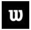 Wilson Family Of Brands logo