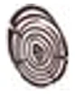 Wood Finishes Direct logo
