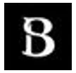 Beauty The Shop logo