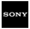 Sony Store logo