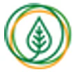 Bodykind logo
