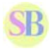 Sunny Bambini logo