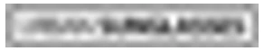 Urban Sunglasses logo