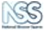 National Shower Spares logo